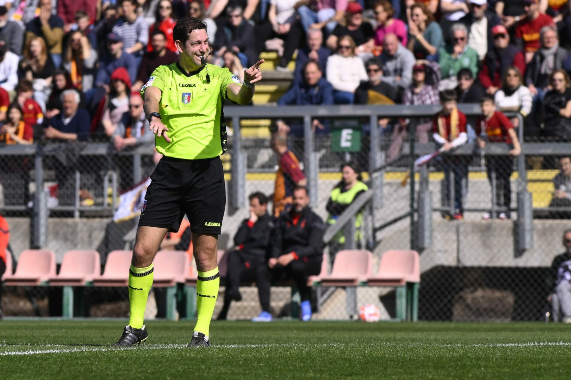 arena arbitro