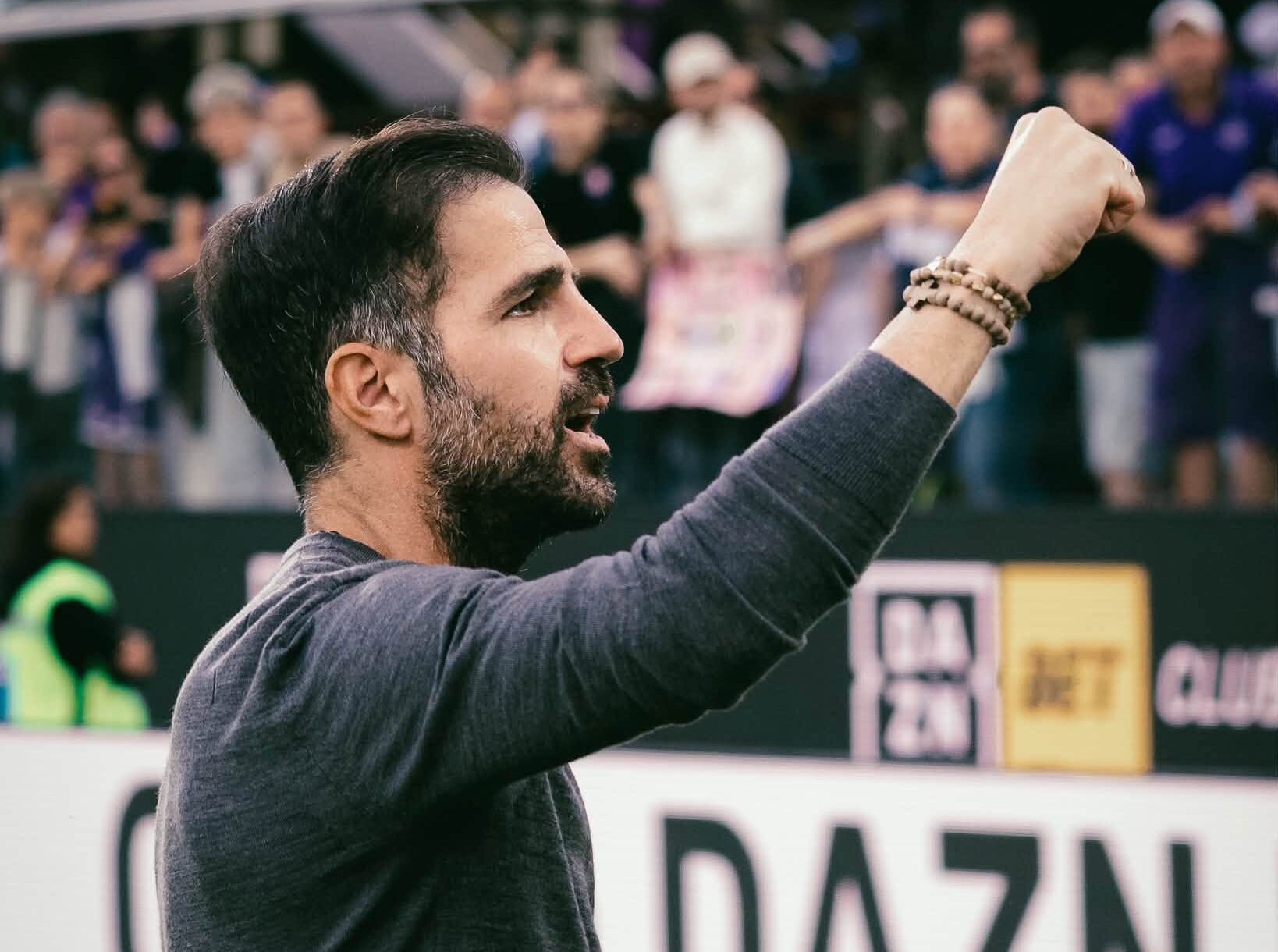 fabregas