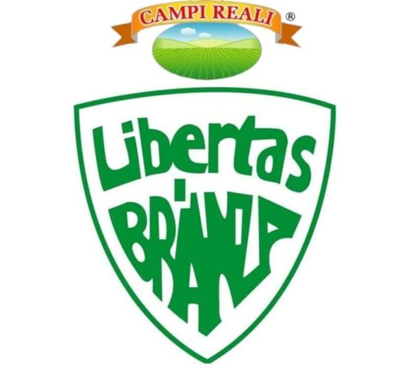 libertas brianza cantu volley